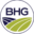 www.bhg.co.at