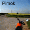 Pimok